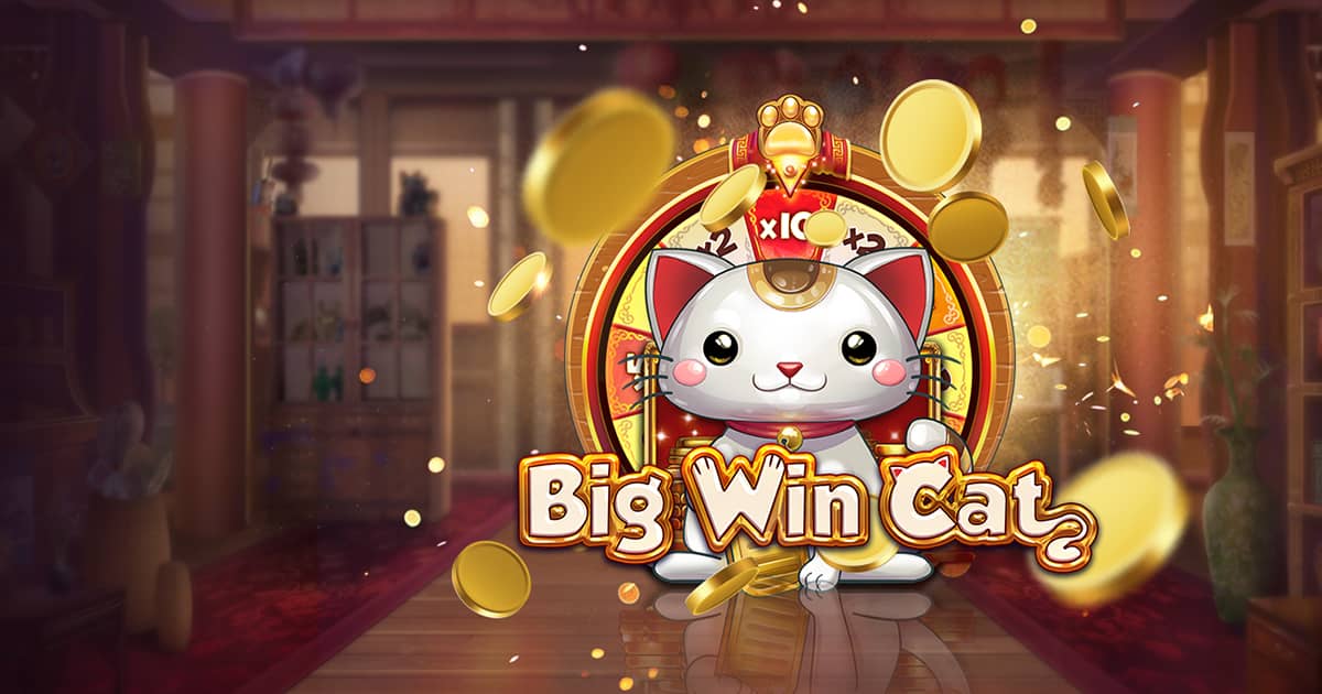 Mengenal Game Slot Big Win Cat Habanero Slot Online